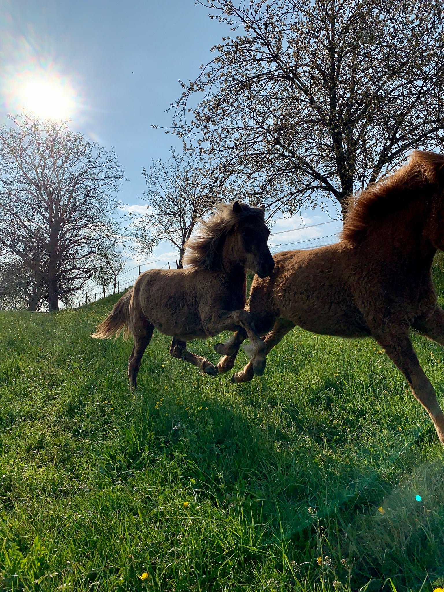 Wetterwechsel im Frühling