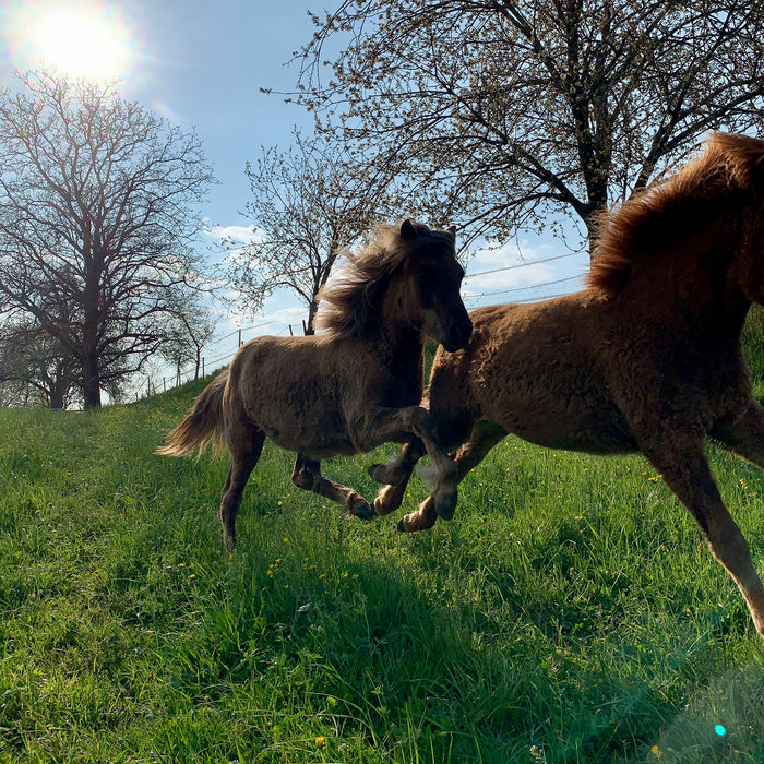 Wetterwechsel im Frühling