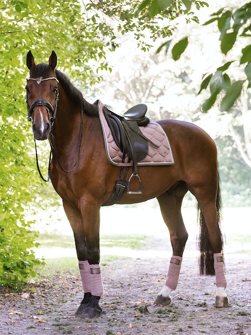 Dressur Schabracke Signature Dusty Mauve