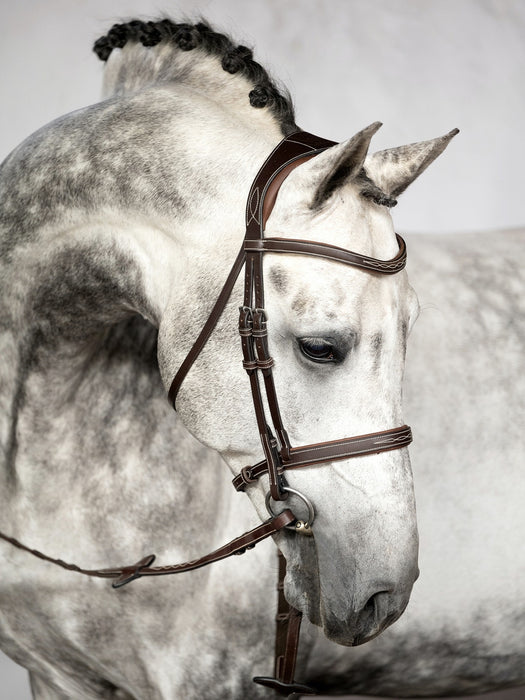 PsofSweden Zaum und Trense Ocala Hunter