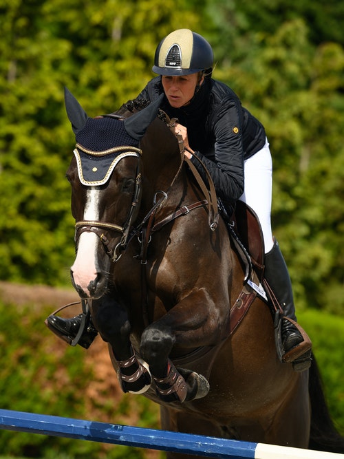 PSofSweden Zaum und Trense Antwerp