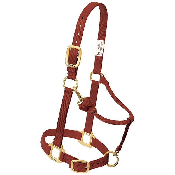 Nylonhalfter Weaver COB div.Farben
