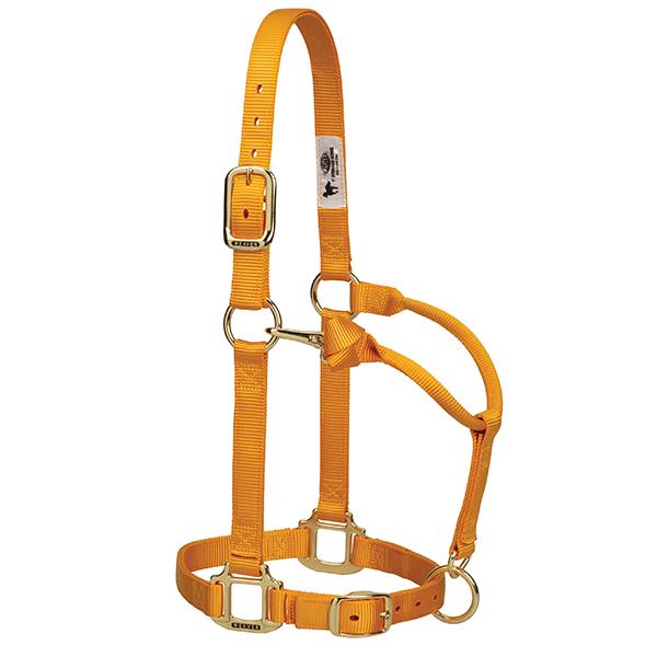 Nylonhalfter Weaver FULL div.Farben