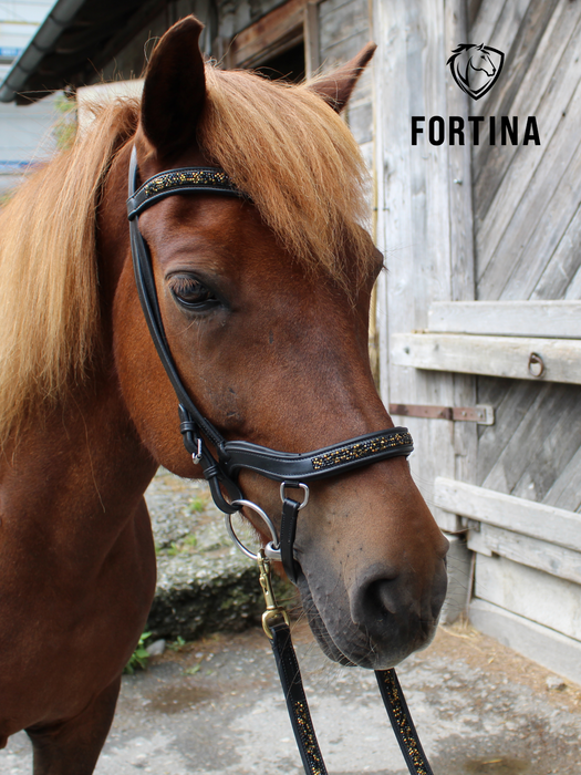 Fortina Zaum Komplett