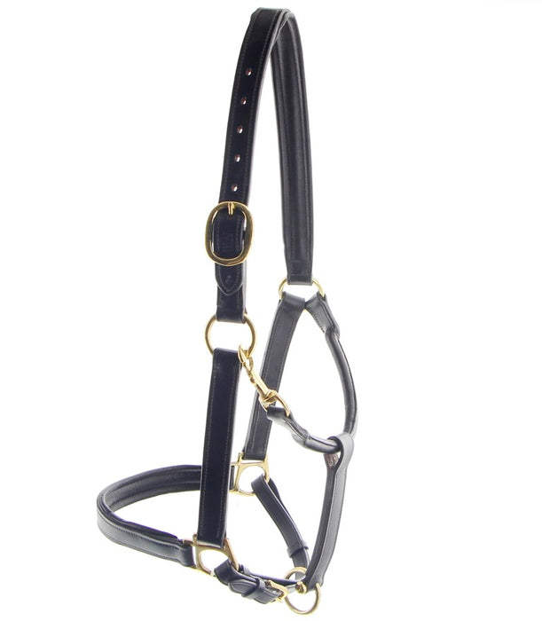 Lederhalfter Success cob schwarz