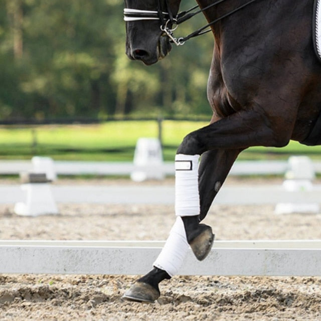 Bandage Winning Round PRO