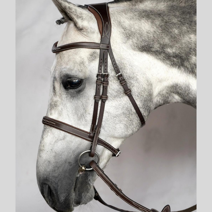 PsofSweden Zaum und Trense Ocala Hunter