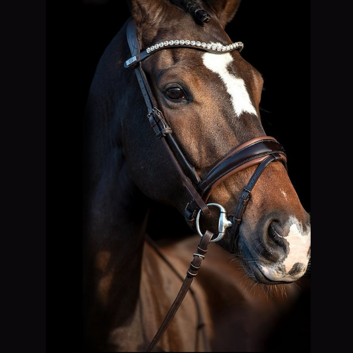 PsofSweden Zaum GP Schwarzes Leder Braunes Padding