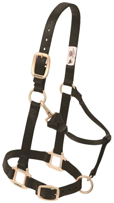 Nylonhalfter Pony