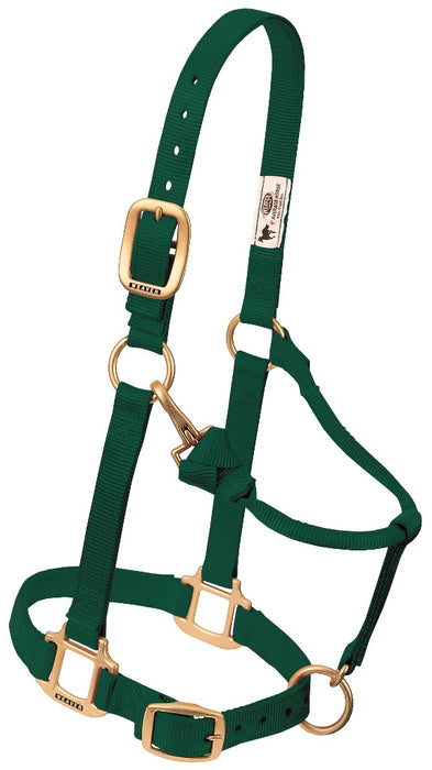 Nylonhalfter Pony