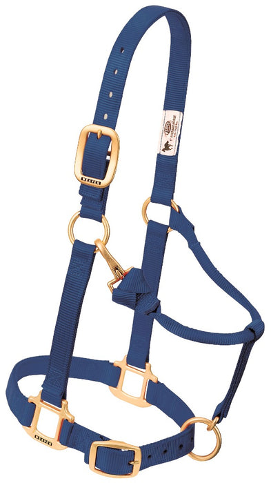 Nylonhalfter Pony