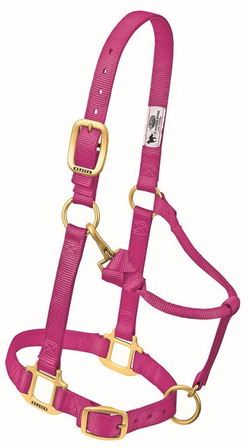 Nylonhalfter Pony