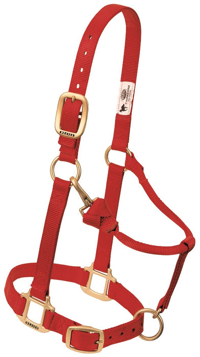 Nylonhalfter Pony