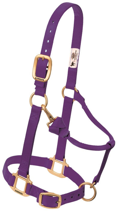 Nylonhalfter Pony
