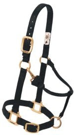 Nylonhalfter Weaver COB div.Farben