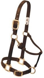 Nylonhalfter Weaver COB div.Farben
