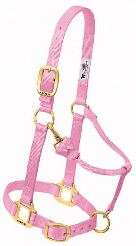 Nylonhalfter Weaver COB div.Farben