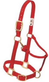 Nylonhalfter Weaver COB div.Farben