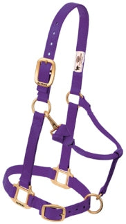 Nylonhalfter Weaver COB div.Farben