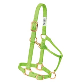 Nylonhalfter Weaver FULL div.Farben