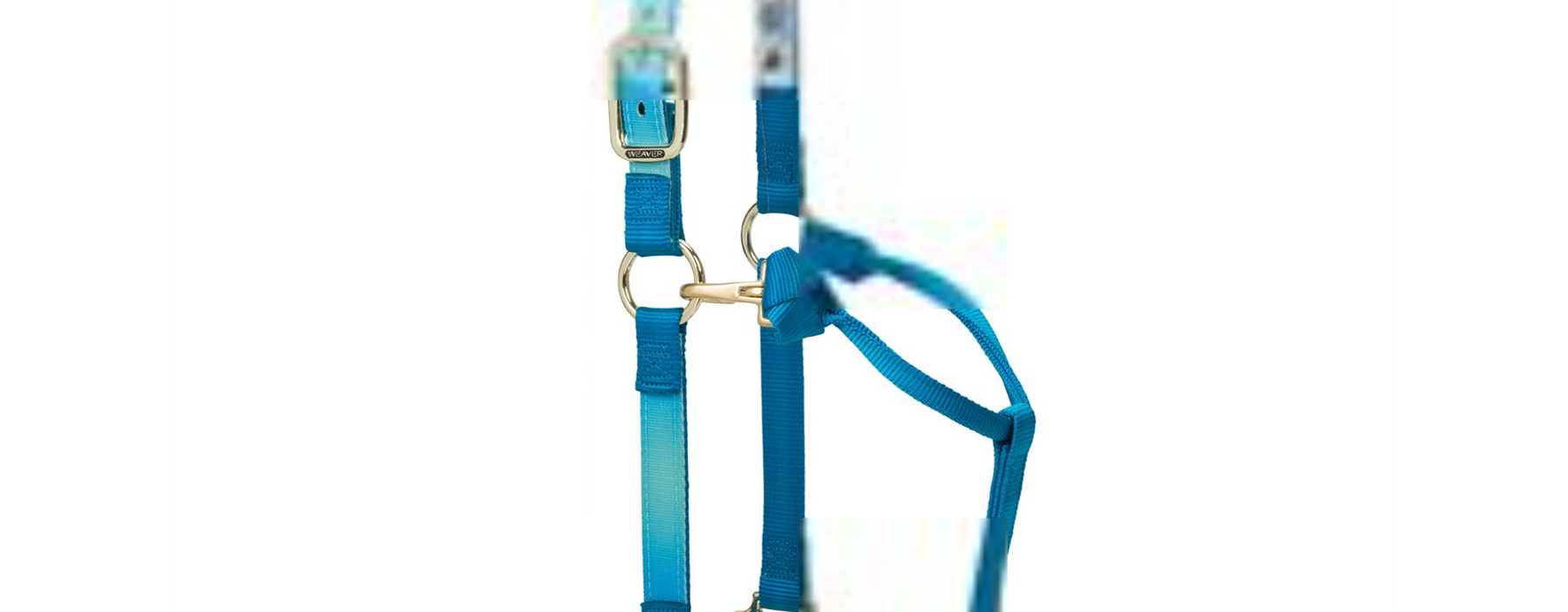Nylonhalfter Weaver COB div.Farben