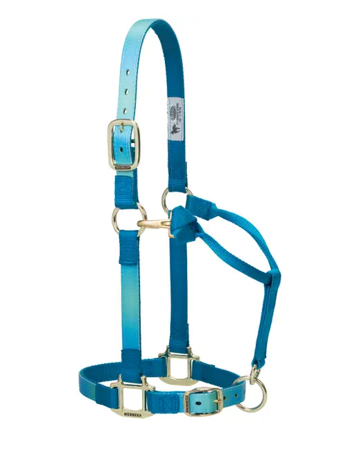 Nylonhalfter Weaver COB div.Farben