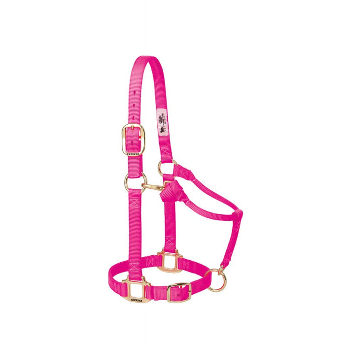 Nylonhalfter Pony